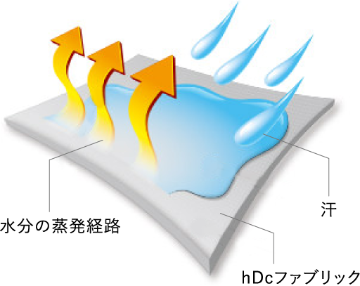 水分の蒸発経路 汗 hDcファブリック