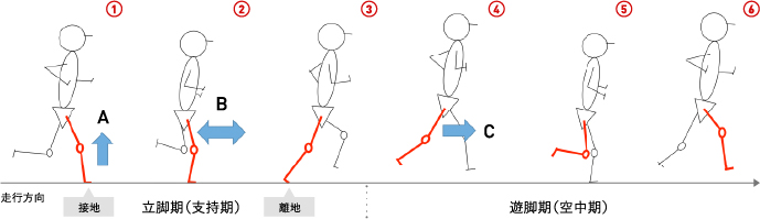 水分の蒸発経路 汗　hDcファブリック