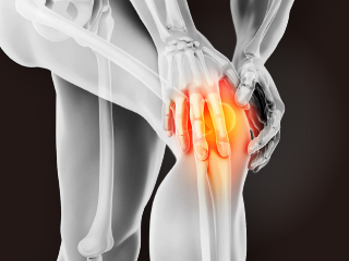 ヒザ・大腿部の写真