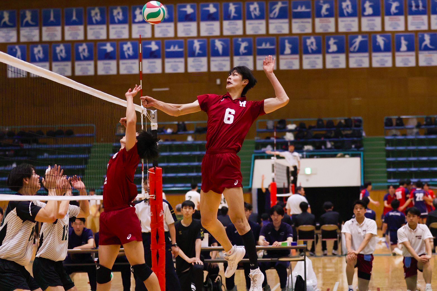 Waseda University Men's Volleyball